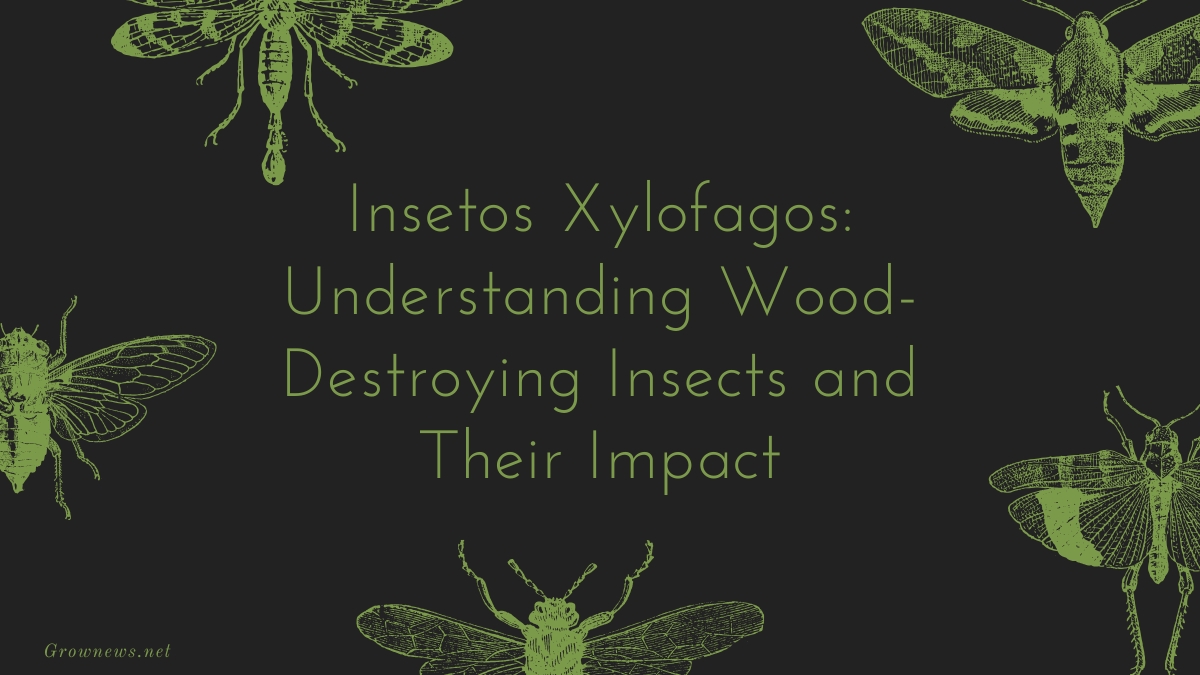 Insetos Xylofagos