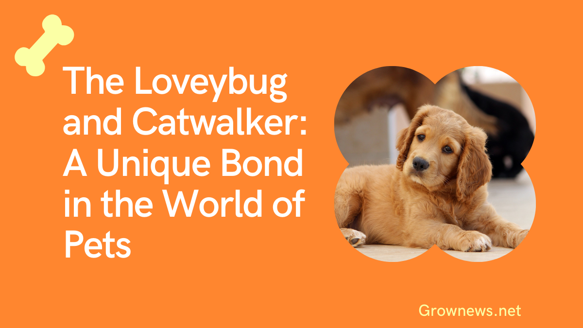 Loveybug and Catwalker